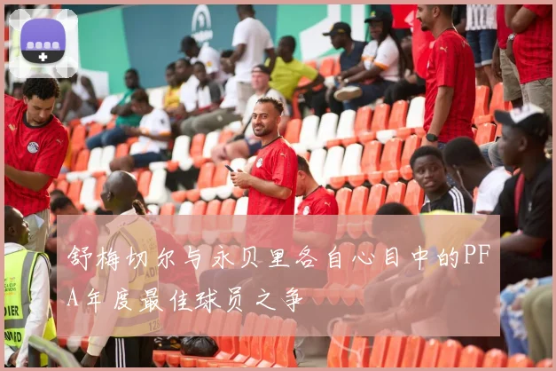 舒梅切尔与永贝里各自心目中的PFA年度最佳球员之争