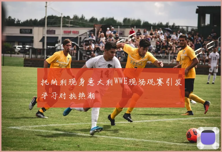 托纳利现身意大利WWE现场观赛引发学习对抗热潮