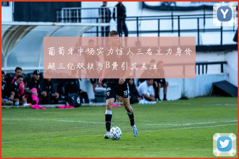 葡萄牙中场实力惊人三名主力身价超三亿双核与B费引发关注